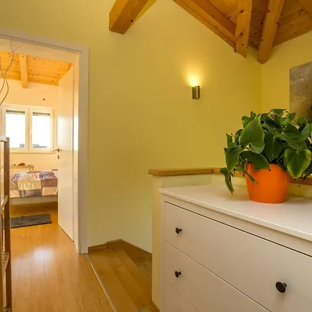 Villa Gaya In Porec With Xl Pool And E- Bike Willa