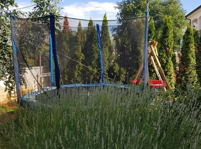 Gaya In With Xl Pool And Stunning Garden Poreč