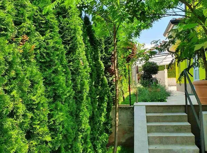 Gaya In With Xl Pool And Stunning Garden Poreč