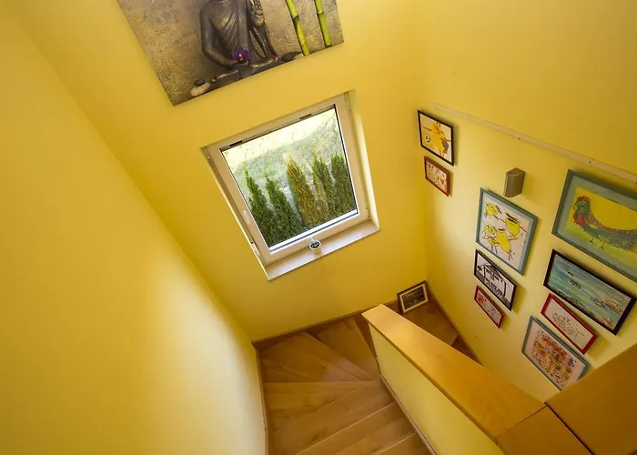 Villa Gaya In With Xl Pool And Stunning Garden Poreč