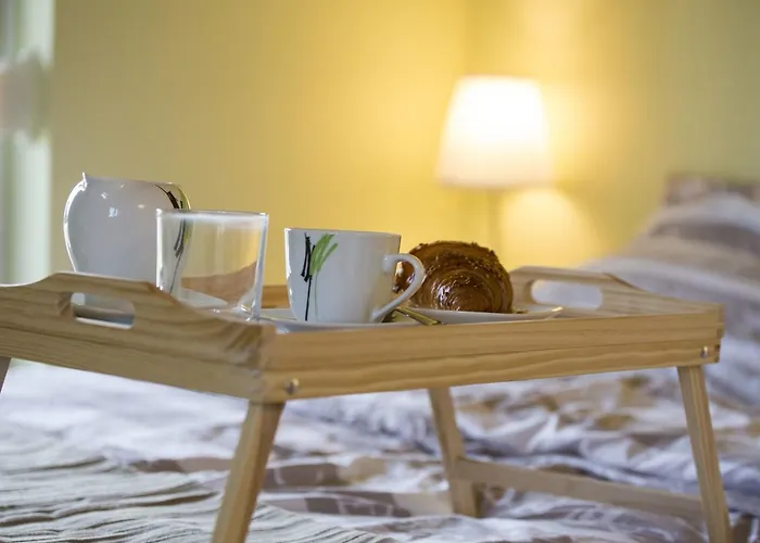 Villa Gaya In With Xl Pool And Stunning Garden Poreč