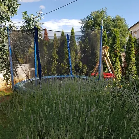 Villa Gaya In Porec With Xl Pool And E- Bike Poreč