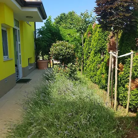Gaya In With Xl Pool And Stunning Garden فيلة بوريتش