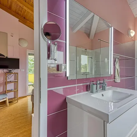 Villa Gaya In Porec With Xl Pool And E- Bike Villa *