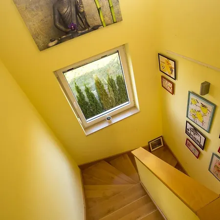 Villa Villa Gaya In Porec With Xl Pool And E- Bike Porec