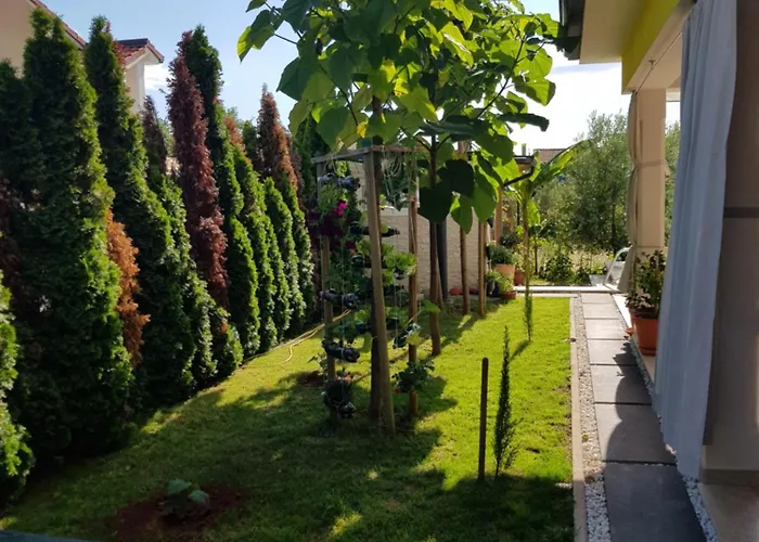 Вілла Gaya In With Xl Pool And Stunning Garden Пореч