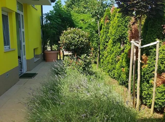 Gaya In With Xl Pool And Stunning Garden Вілла Пореч